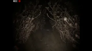 Скриншот 8 к игре The Dire