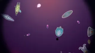 Скриншот 5 к игре Symbio