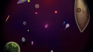 Скриншот 6 к игре Symbio