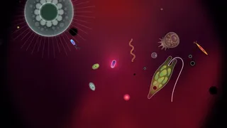Скриншот 7 к игре Symbio