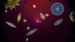 Скриншот 8 к игре Symbio