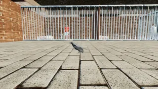 Скриншот 3 к игре Raven Simulator