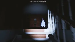 Скриншот 1 к игре The Unvisited Grandma