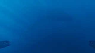 Скриншот 1 к игре Obscurum