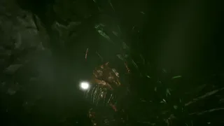 Скриншот 6 к игре Obscurum