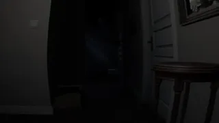 Скриншот 7 к игре Chaperone