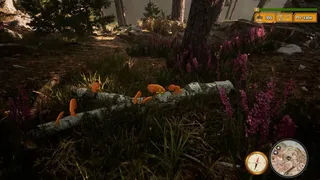 Скриншот 4 к игре Morels: The Hunt 2