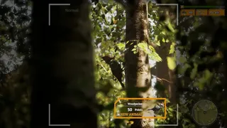 Скриншот 5 к игре Morels: The Hunt 2