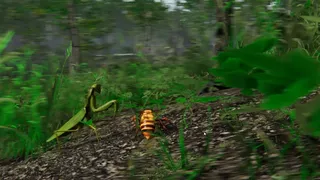 Скриншот 1 к игре Giant Hornet