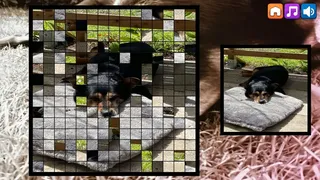Скриншот 3 к игре OG Puzzlers: Kira Maus