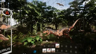 Скриншот 2 к игре Scavenger vr