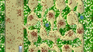 Скриншот 5 к игре Ant Farm Simulator