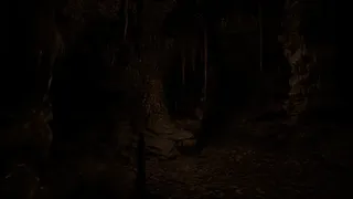 Скриншот 2 к игре ChiroTerra