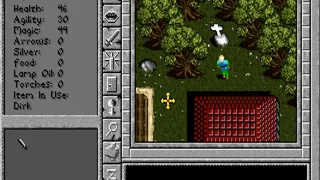 Скриншот 2 к игре Prophecy of the Shadow