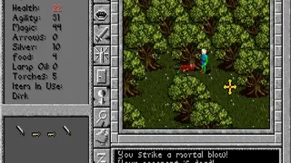 Скриншот 4 к игре Prophecy of the Shadow