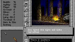 Скриншот 8 к игре Prophecy of the Shadow