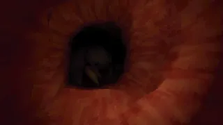 Скриншот 1 к игре Revenge Of The Colon