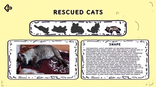 Скриншот 4 к игре Purrfect Rescue
