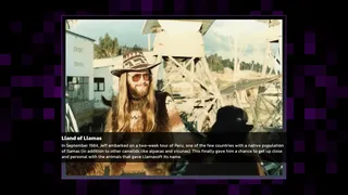 Скриншот 7 к игре Llamasoft: The Jeff Minter Story