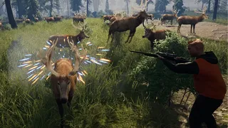 Скриншот 1 к игре Hoofobia