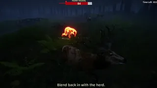 Скриншот 5 к игре Hoofobia