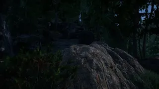 Скриншот 8 к игре Ninja: The Lost Legacy