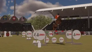 Скриншот 7 к игре Pro Show Jumping