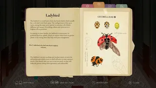 Скриншот 3 к игре CLeM: The First Attribute