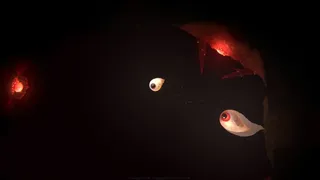 Скриншот 5 к игре Evolution From the little light