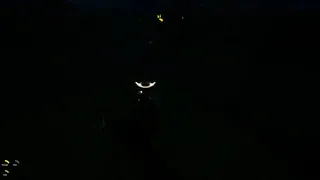 Скриншот 5 к игре RoPan