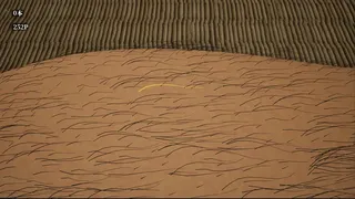 Скриншот 5 к игре おけけぬき