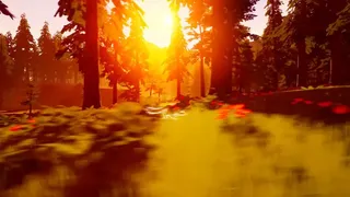 Скриншот 2 к игре Paws Trail