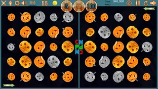 Скриншот 6 к игре Clutter Puzzle Magazine Vol. 15 No. 1 Collector's Edition