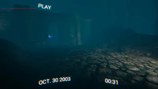 Скриншот 1 к игре Right or DIE!