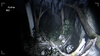 Скриншот 2 к игре Together After Dark