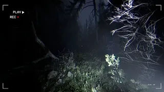 Скриншот 4 к игре Together After Dark