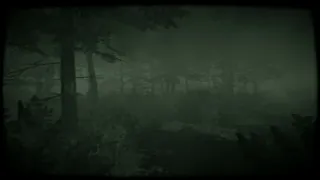 Скриншот 4 к игре The Children of The Woods - Lost Tape