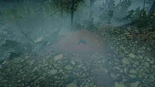 Скриншот 5 к игре The Children of The Woods - Lost Tape