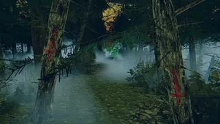 Скриншот 7 к игре The Children of The Woods - Lost Tape