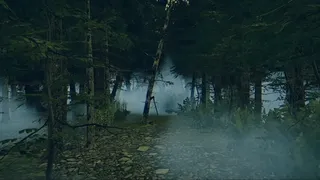 Скриншот 8 к игре The Children of The Woods - Lost Tape