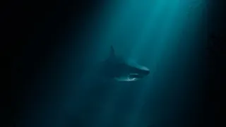 Скриншот 1 к игре Ocean Gap