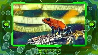 Скриншот 4 к игре Twizzle Puzzle: Reptiles