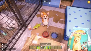 Скриншот 3 к игре Animal Shelter 2