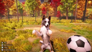 Скриншот 7 к игре Animal Shelter 2