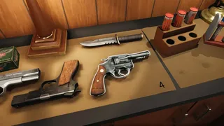 Скриншот 6 к игре Wolf Peak: The Case of Ruth Choi