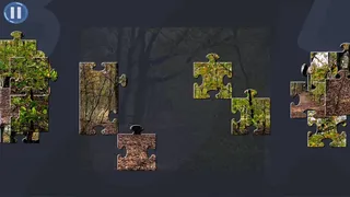 Скриншот 4 к игре Virtual Jigsaw Puzzles