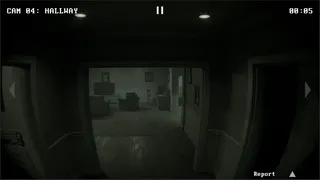 Скриншот 1 к игре Caught On Camera