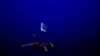 Скриншот 2 к игре DeepSea Serenity: VR Underwater Trip