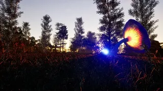 Скриншот 3 к игре Eden: Project New Earth
