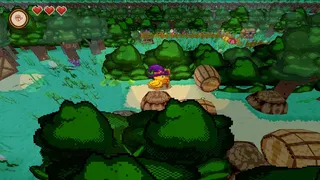 Скриншот 5 к игре Wizarducks and the Lost Hat